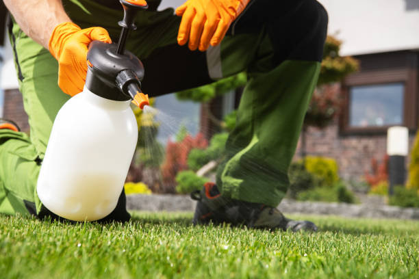 Best Ant Control Services  in Stonewood, WV